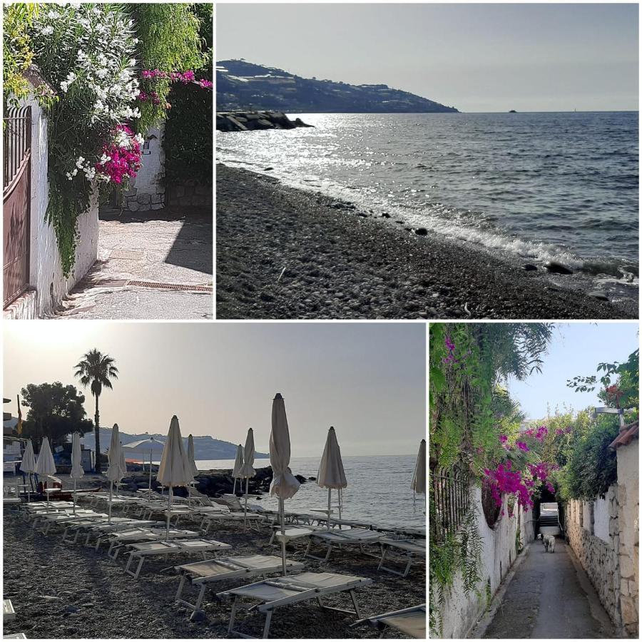 Almaredasedy1-appartamento 50m Dalla Con Posto Auto Apartment *